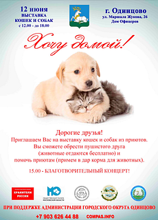 В Одинцовском округе 12 июня пройдет благотворительная выставка животных «Хочу домой»