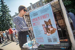 В Одинцовском округе 12 июня прошла благотворительная выставка животных «Хочу домой»