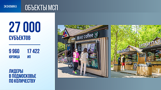 Экономика: Объекты МСП