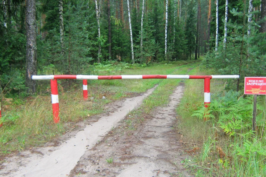 В Московской области в период с 16 по 19 июня ограничивается пребывание граждан в лесах, Июнь