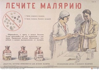 В зарубежных поездках российским туристам следует опасаться малярии