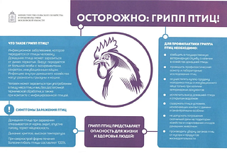 «Терветуправление № 1» сообщает о подозрении на возникновение очага высокопатогенного гриппа птиц