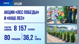 Акции «Лес Победы» и «Наш лес»