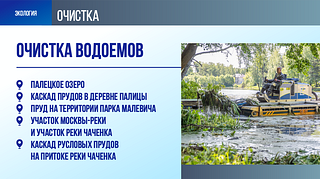 Экология: Очистка водоемов