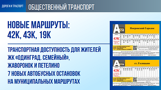 Дороги и транспорт: Общественный транспорт