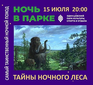 В рамках акции «Ночь в парке» Краеведческое общество проведёт в Одинцовском парке таинственную экскурсию