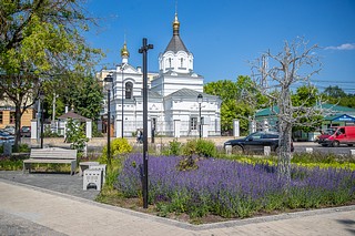Звенигород вошел в десятку самых популярных летних направлений для отдыха на берегу Москвы-реки