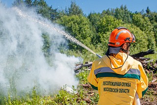 В выходные, с 22 по 24 сентября, в Московской области прогнозируется высокий (III-IV) класс пожарной опасности