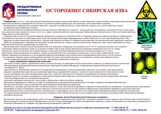 Об этом сообщает телеграм-канал «Осторожно, Москва»
