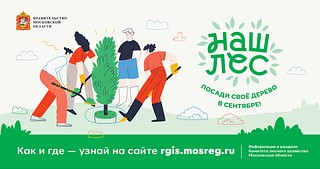 Акция «Наш лес. Посади своё дерево» 16 сентября пройдёт в Одинцовском округе