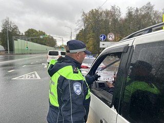 В Одинцовском округе сотрудники Госавтоинспекции провели профилактический рейд «Детское кресло»
