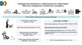 Содержание дворовых и общественных территорий. Объекты городского хозяйства и ресурсы