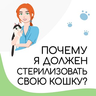 Жителей Одинцовского округа информируют об изменениях в региональном законодательстве, связанном с животными