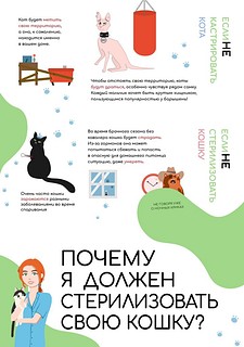 Жителей Одинцовского округа информируют об изменениях в региональном законодательстве, связанном с животными