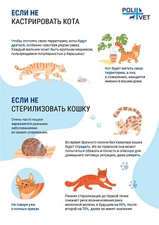 Жителей Одинцовского округа информируют об изменениях в региональном законодательстве, связанном с животными