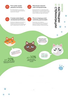 Жителей Одинцовского округа информируют об изменениях в региональном законодательстве, связанном с животными