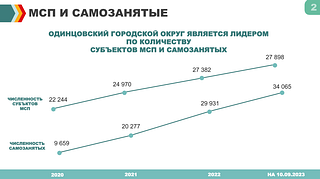 МСП и самозанятые