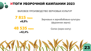 Итоги уборочной кампании 2023
