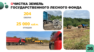 Очистка земель государственного лесного фонда