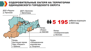 Оздоровительные лагеря на территории Одинцовского городского округа