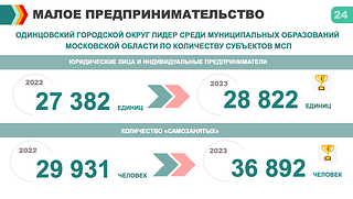 Малое предпринимательство