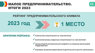 Малое предпринимательство. Итоги 2023