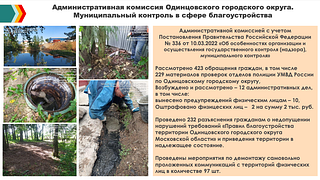 Административная комиссия Одинцовского городского округа. Муниципальный контроль в сфере благоустройства