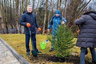 Глава Одинцовского округа осмотрел территорию в деревне Папушево, где в ближайшие годы обустроят ландшафтный парк