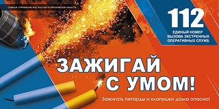 Операторы ЕДДС напомнили жителям муниципалитета правила обращения с елками и елочными игрушками