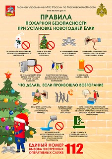 Операторы ЕДДС напомнили жителям муниципалитета правила обращения с елками и елочными игрушками