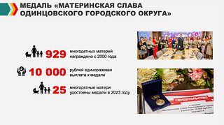 Медаль «Материнская Слава Одинцовского городского округа»