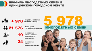 Профиль многодетных семей в Одинцовском городском округе