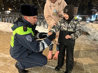 В Одинцовском округе автоинспекторы провели профилактическую акцию «Засветись»