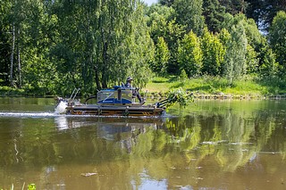 В голосовании за очистку прудов приняли участие более 18 тысяч жителей Подмосковья