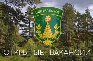 ГАУ МО «Центрлесхоз» ведёт набор сотрудников для работы в Одинцовском округе — на ЛПС-1 «Голицыно»