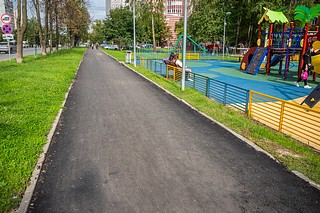 В 2024 году в Одинцовском округе благоустроят 32 «народные тропы»