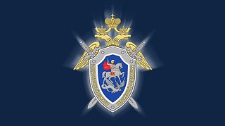 Приморский следком предъявил обвинение бывшему первому вице-мэру Владивостока Наталье Соколовой в превышении должностных полномочий. До суда экс-чиновница находится под стражей