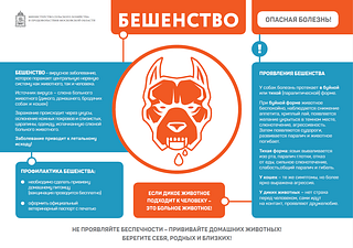 Осторожно бешенство!