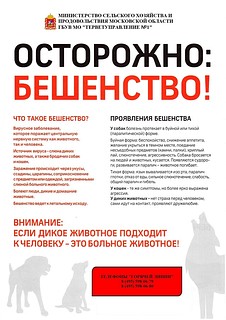 Осторожно бешенство!