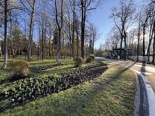 Территорию Одинцовского парка культуры, спорта и отдыха обработали от клещей