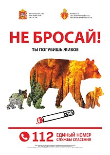 Операторы Единой дежурно-диспетчерской службы Одинцовского округа напоминают, что пал травы — это преступление!