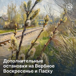 Жителей Одинцовского округа информируют об изменениях в расписании поездов на Вербное Воскресенье и Пасху