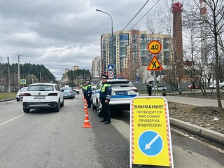 В Одинцовском округе сотрудники Госавтоинспекции напомнили о правилах перевозки детей в автомобиле