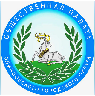В Одинцовском округе 26 апреля начнётся формирование нового состава Общественной палаты