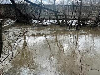 В селе Жаворонки часть частного земельного участка изымут в пользу государства