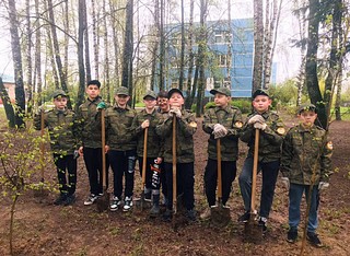 Новые деревья высадили у Кубинской средней общеобразовательной школы