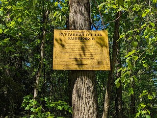 Одинцовский историко-краеведческий музей открыл сезон исторических пешеходных экскурсий. В прошлую субботу Одинцовские курганы в Парке культуры, спорта и отдыха открыли свои секреты экскурсантам из Москвы. Старший научный сотрудник музея Александр Лазукин провел группу по историческим местам, связанным со славянскими племенами вятичей и кривичей. Новые знания о древней истории Подмосковья и яркие впечатления от прогулки по Подушкинскому лесу получили как дети, так и взрослые
