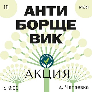 В Одинцовском округе 18 мая пройдет акция «Антиборщевик». Борщеборцев ждут в 9:00 возле остановки бывшего «Питомника» между д. Чапаевкой и п. Новый Городок. Как заявляют организаторы, основная масса сорняка была удалёна, но осталось достаточно большое количество одиночных растений