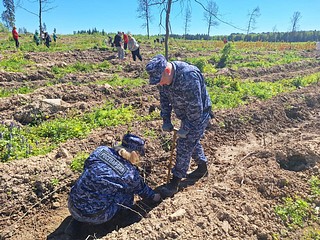 Сотрудники Одинцовского отдела вневедомственной охраны присоединились к акции «Посади лес»