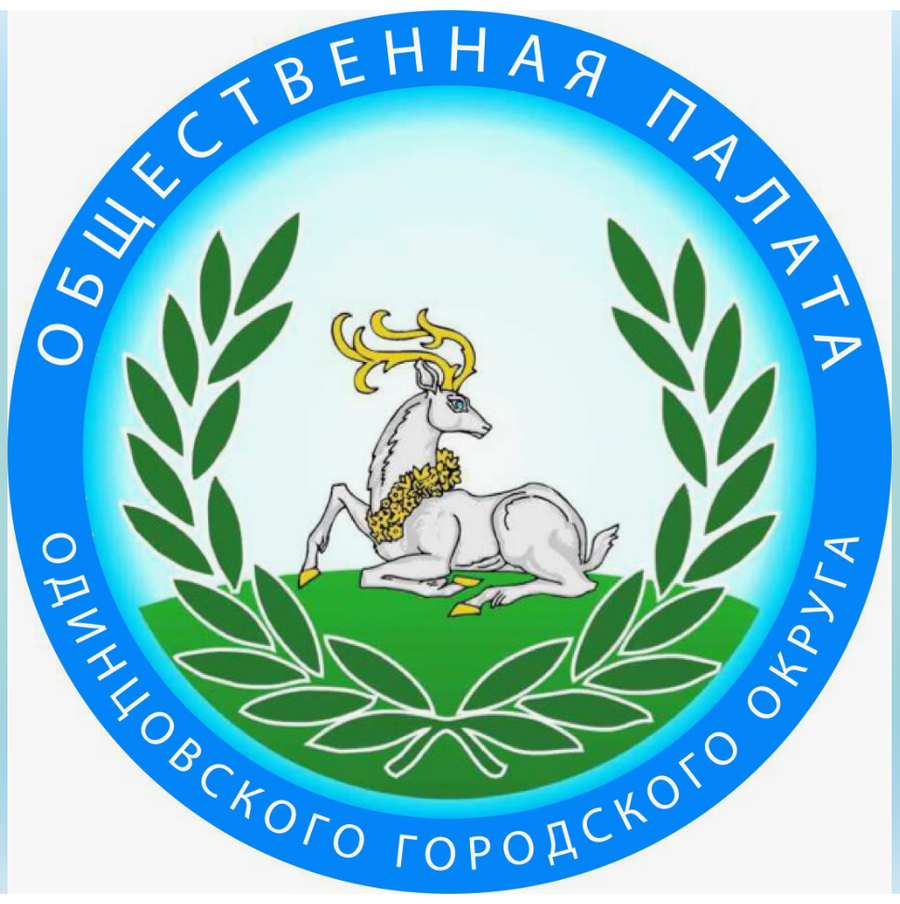 В Одинцовском округе продолжается формирование нового состава Общественной палаты, Май